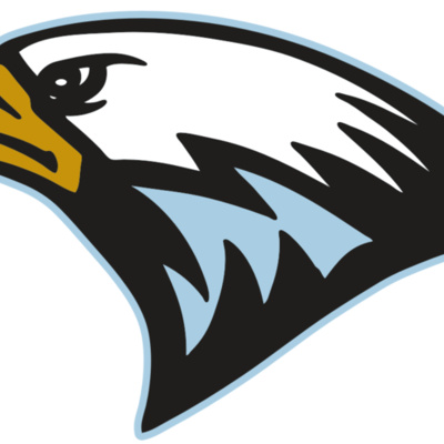 AR EAGLE 27 RC Thumbnail