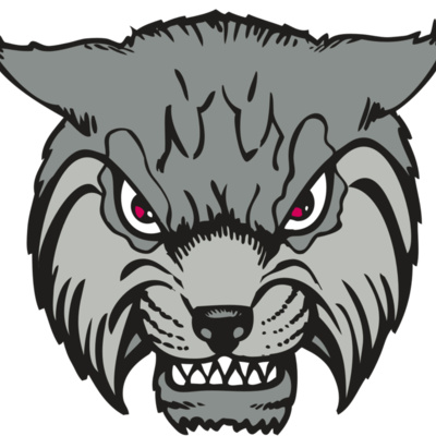 BAW BOBCAT 02 RC Thumbnail