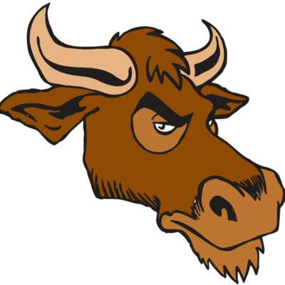 AR5 Bull 06 RQC Thumbnail