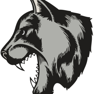 BAW COUG PANTH 06 RC Thumbnail