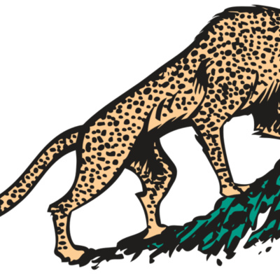 AR CHEETAH 02 RC Thumbnail