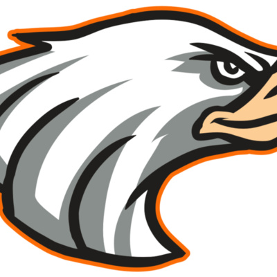 AR16 EAGLE 01 RQ Thumbnail