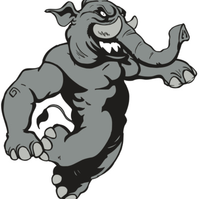 AR5 Elephant 09 RQC Thumbnail