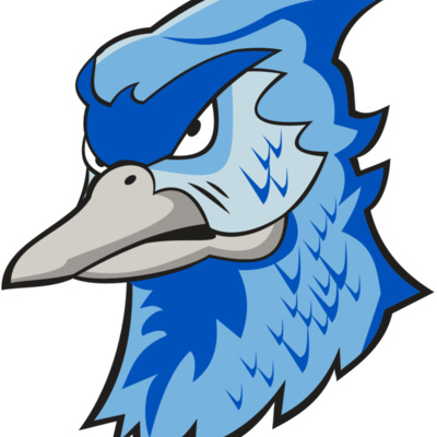 BLUEJAY HD0501 RQC Thumbnail