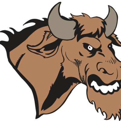 AR5 BULL 09 RQC Thumbnail