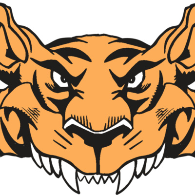 AR5 Tiger 07 RQC Thumbnail