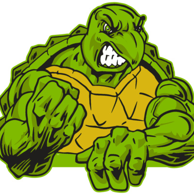 AR31 TURTLE 01 RQC Thumbnail