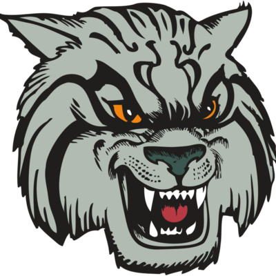 BAW WILDCAT 03 RC Thumbnail