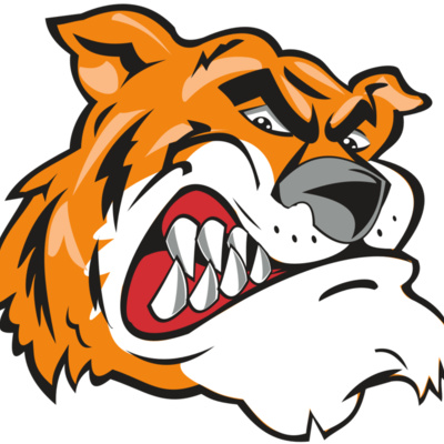 TIGER HD0503 RQC Thumbnail