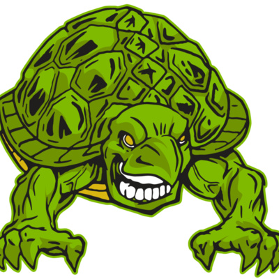 AR31 TURTLE 03 RQC Thumbnail