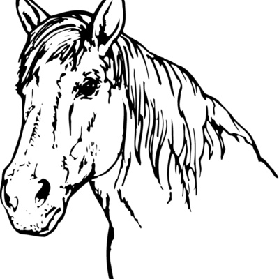 HORSE009 Thumbnail
