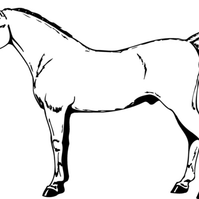 HORSE026 Thumbnail