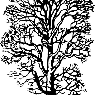 TREE0021 Thumbnail
