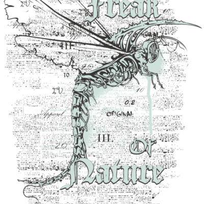 designious t shirt design 361 Thumbnail